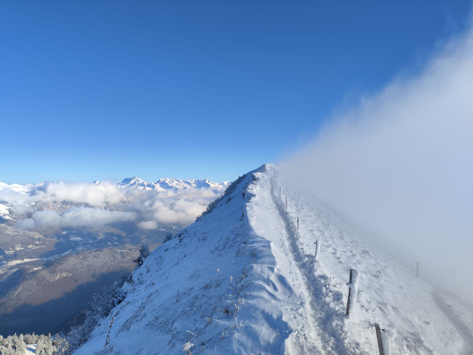 Snow-covered alpine ridge between clear sky and dense cloud.